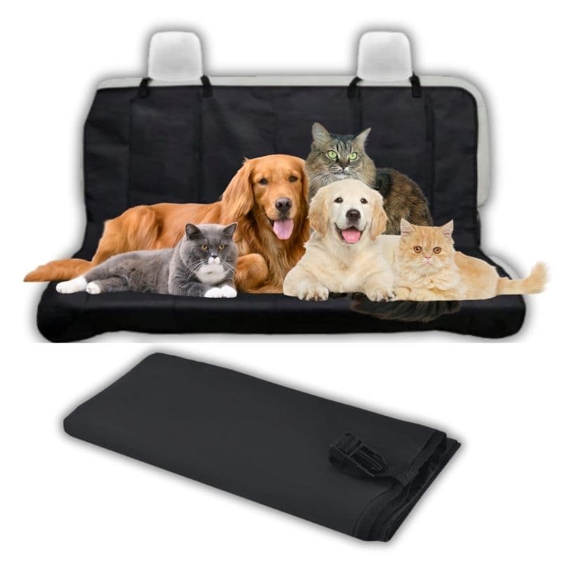 Ax00_tds0701_Mata dla psa kota samochodowa