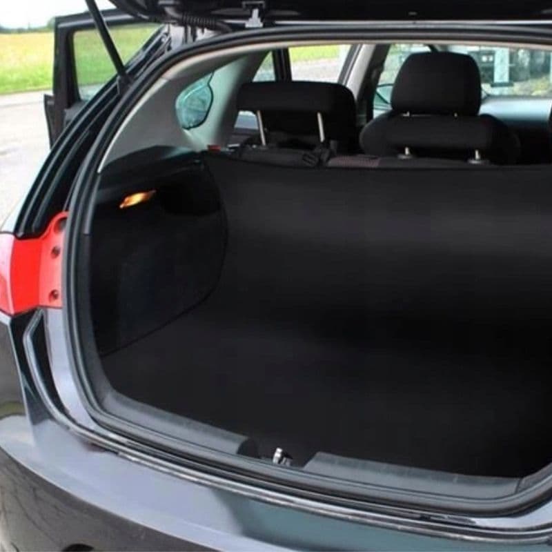 Ax00_tds0701_Mata dla psa kota samochodowa