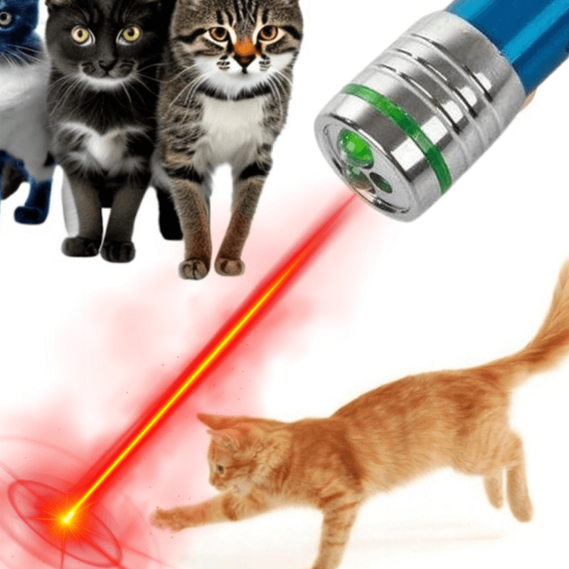 a8_tds0524_Laser brelok dla kota