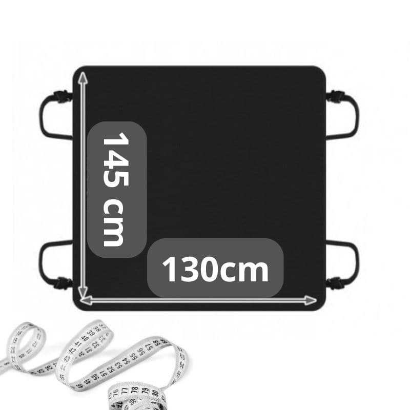 Ax00_tds0701_Mata dla psa kota samochodowa