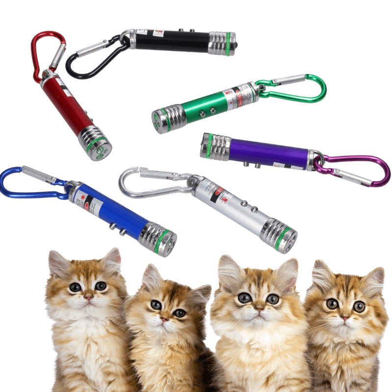 a8_tds0524_Laser brelok dla kota