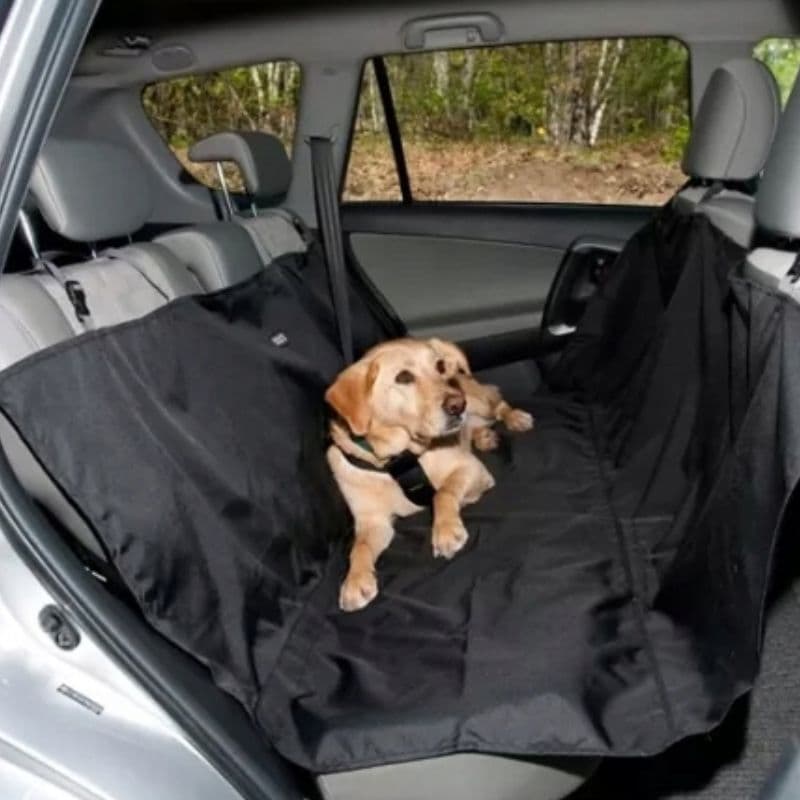 Ax00_tds0701_Mata dla psa kota samochodowa